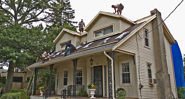 Quick and Trustworthy Emergency Roof Repair Services in Century, FL